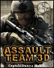 Bo�te de Assault Team 3D