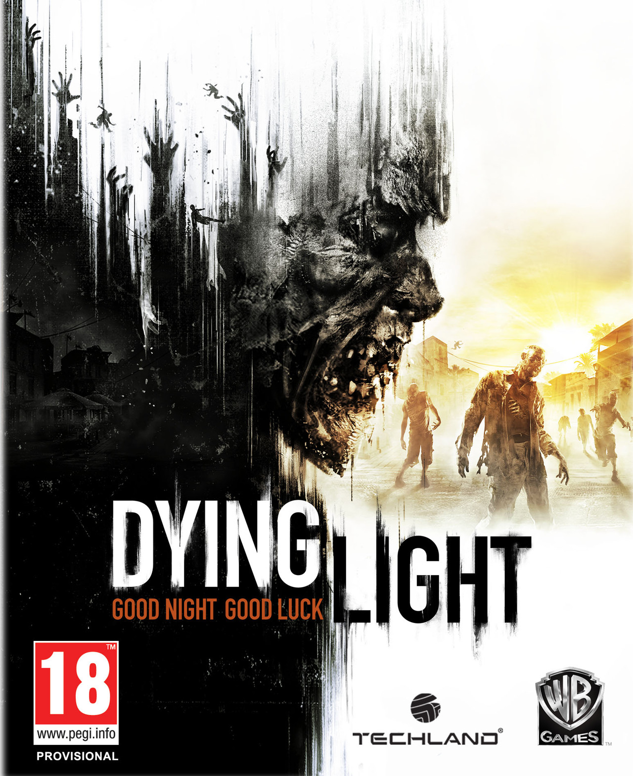 Bo�te de Dying Light