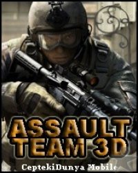 Bo�te de Assault Team 3D