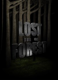 Bo�te de Lost in a Forest
