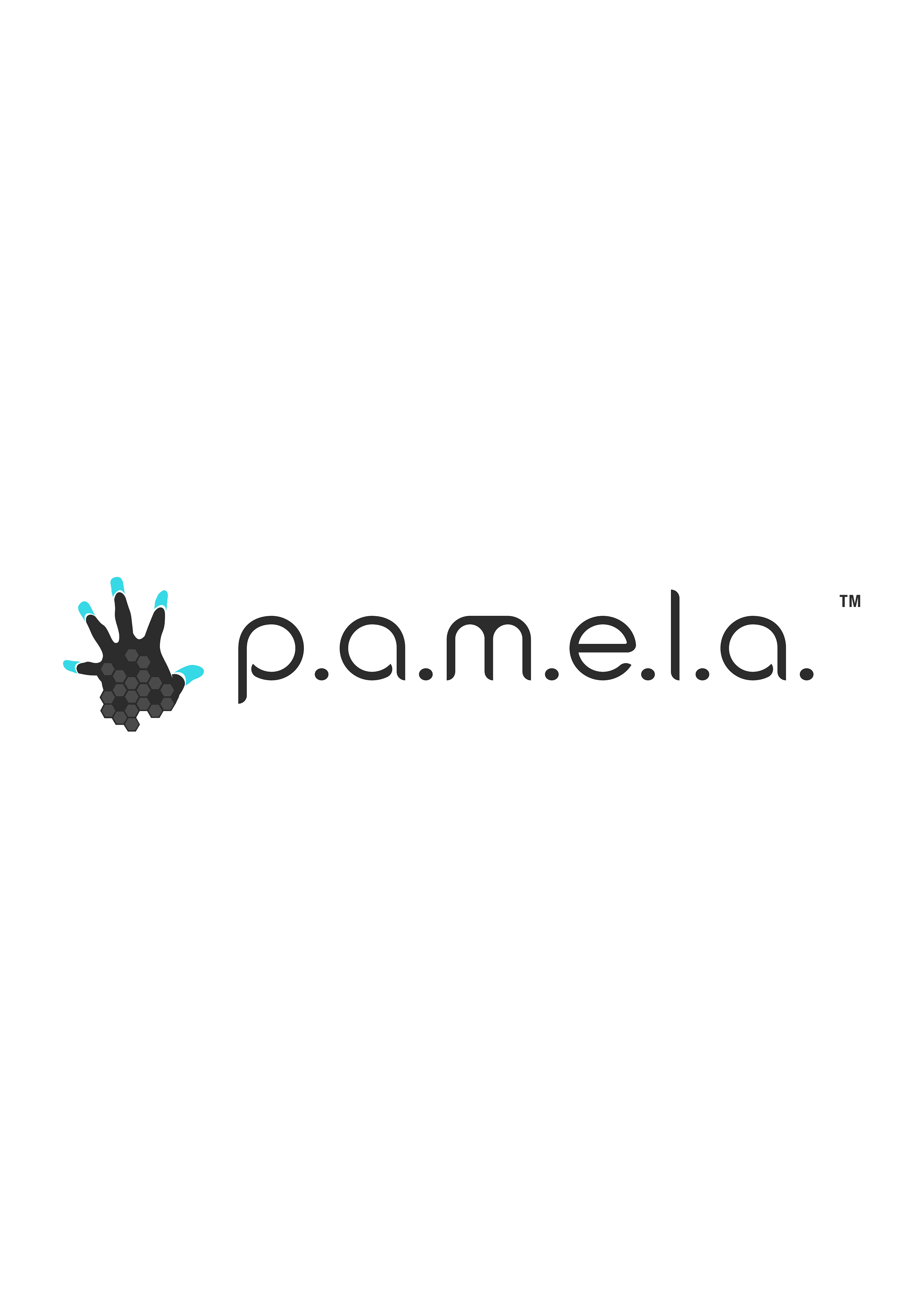 Bo�te de P.A.M.E.L.A.