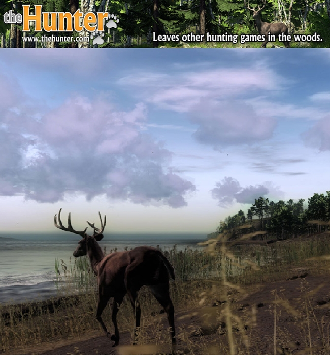 Bo�te de The Hunter