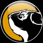 Logo de Rewolf Software